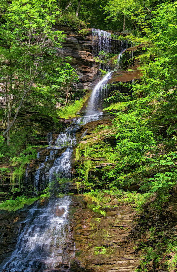 Summer Photograph - Cathedral Falls 2 - Paint by Steve Harrington