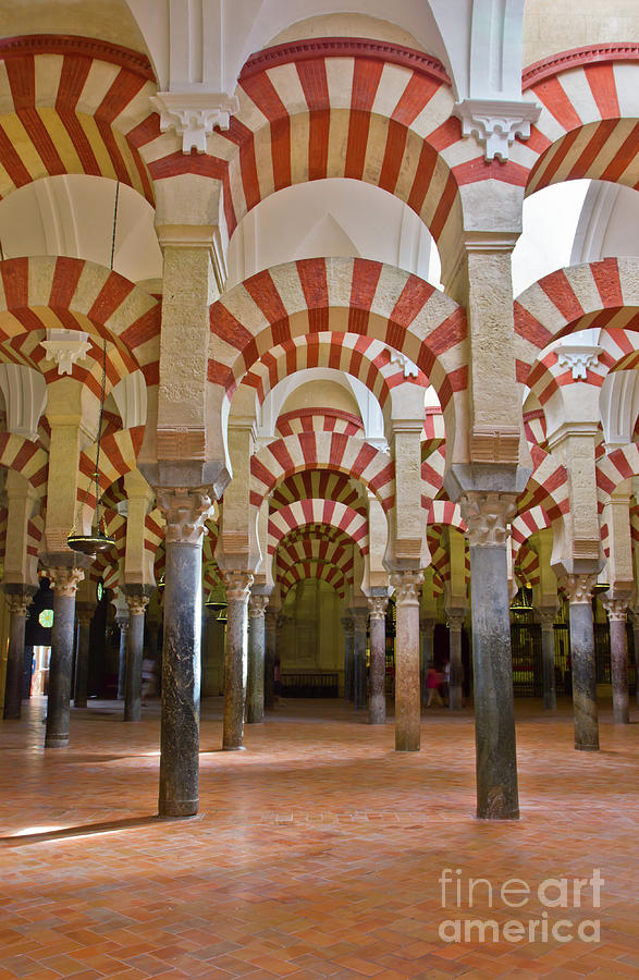 Cathedral of Cordoba in Spain Photograph by Anastasy Yarmolovich