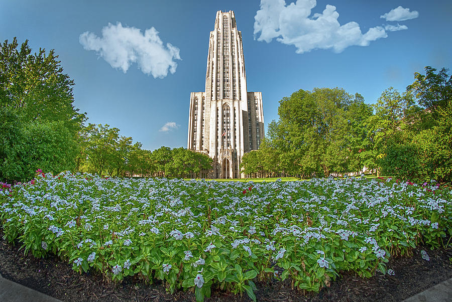 Cathedral of Learning Photograph by Mark Dottle