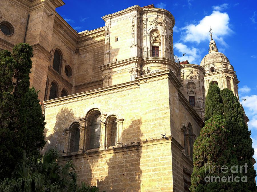 Cathedral of Malaga Shadows Photograph by John Rizzuto