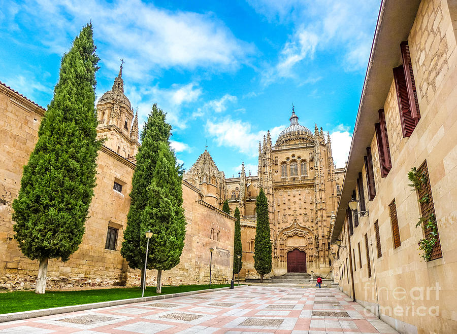 Cathedral of Salamanca Photograph by JR Photography