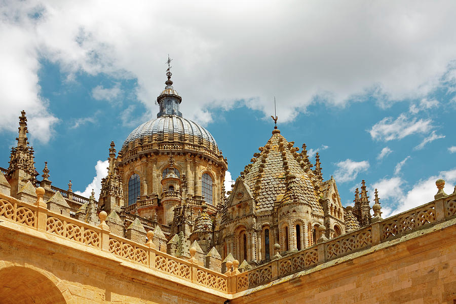 Cathedral of Salamanca Roof Details Photograph by Sally Weigand