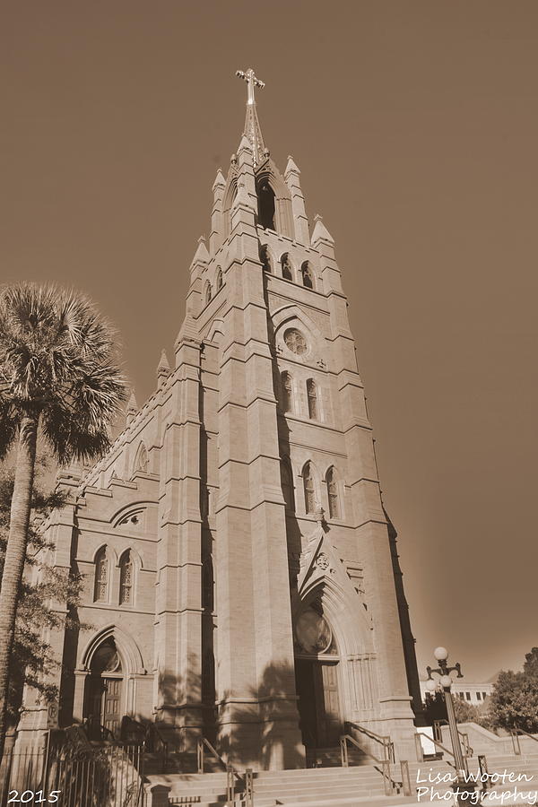 Cathedral Of St John The Baptist Charleston S C Sepia Photograph by Lisa Wooten
