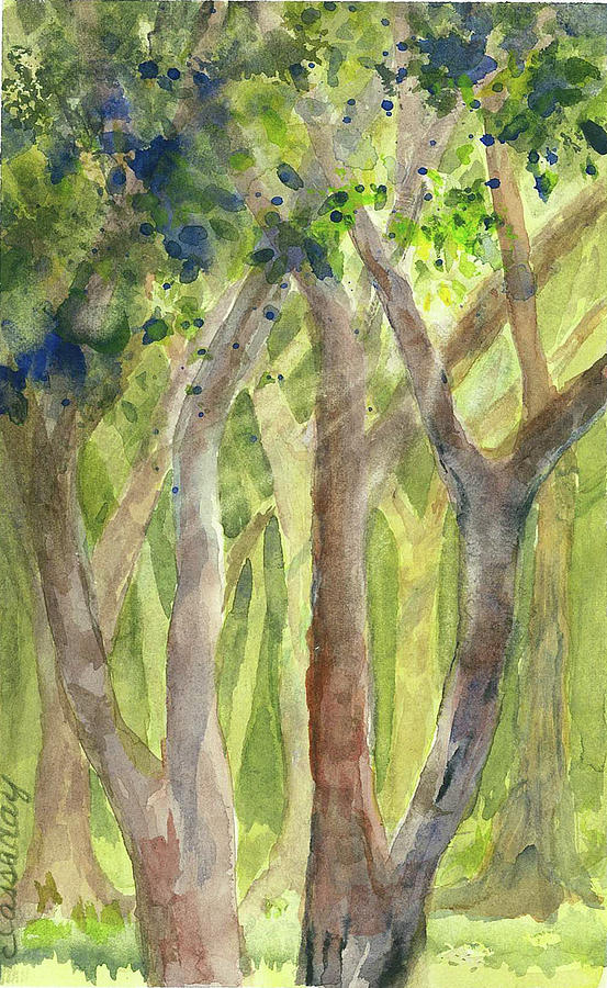 Tree Painting - Cathedral of Trees by Evelyn Cassaday