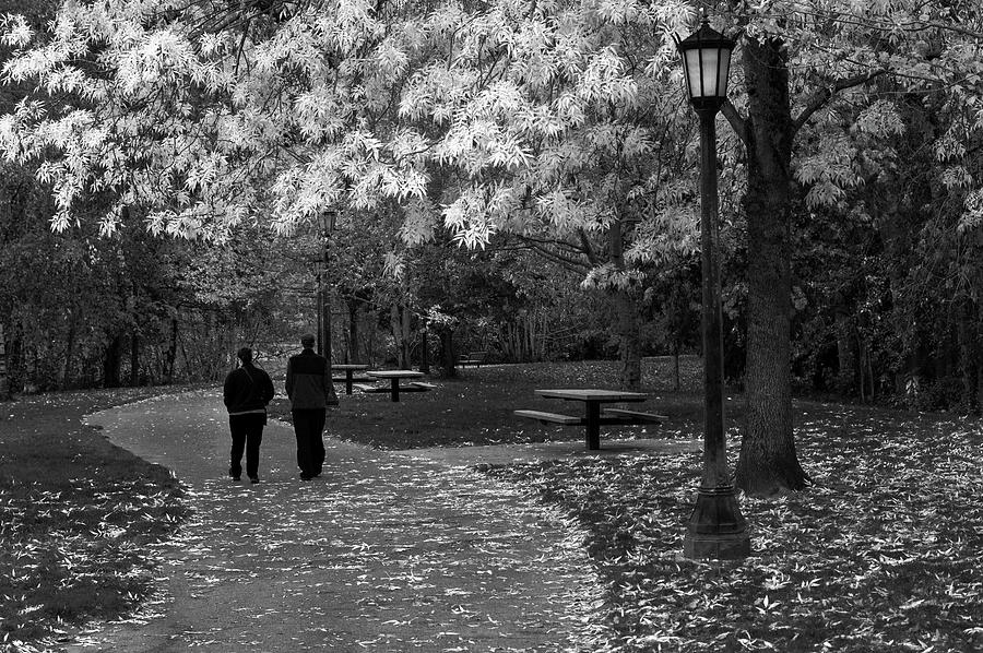 Cathedral Park in Fall BW Photograph by Steven Clark