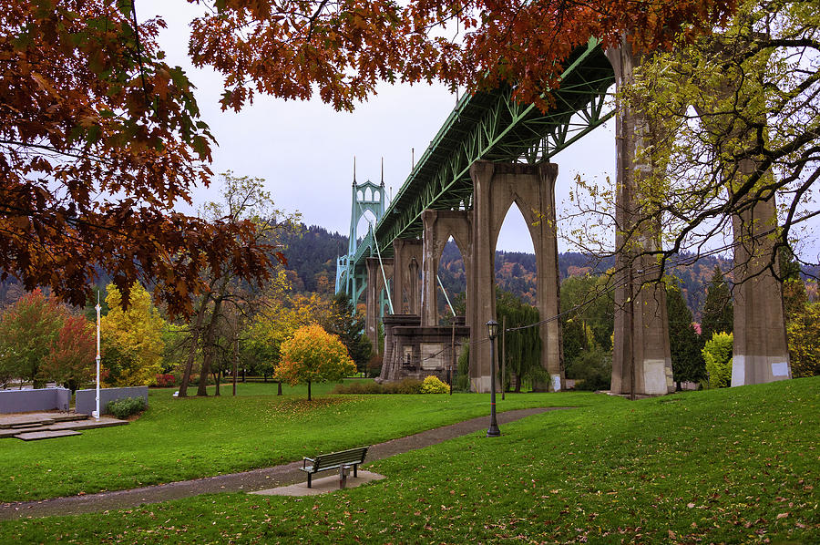 Cathedral Park in Fall Photograph by Steven Clark