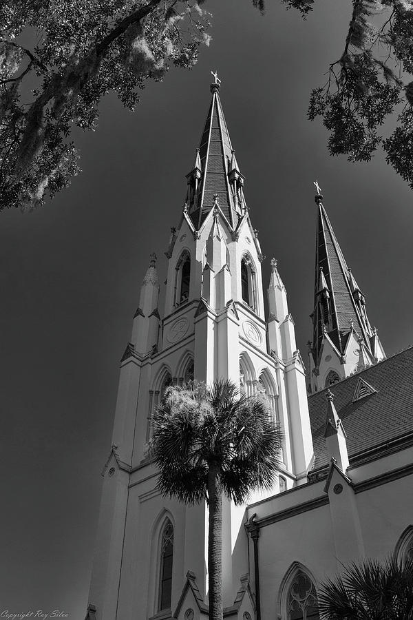 Cathedral Photograph by Ray Silva