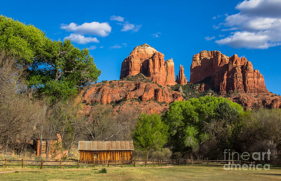Nature Photograph - Cathedral Rock by Amy Sorvillo