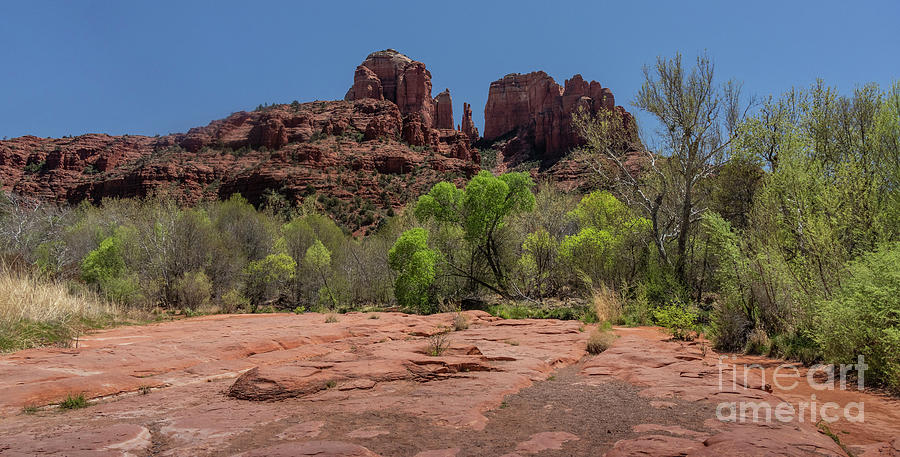 Cathedral Rock from Crescent Moon Park Photograph by Garry McMichael