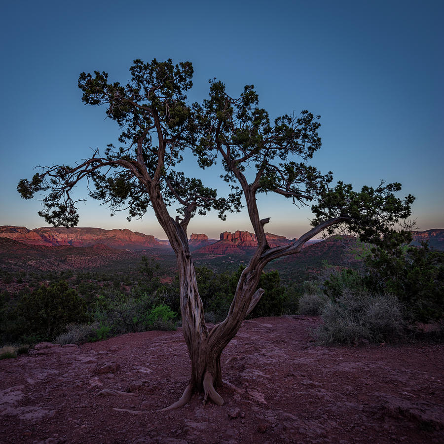 Cathedral Rock by Gary Lengyel Cathedral Rock by Gary Lengyel