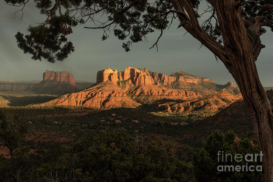 Cathedral Rock in the evening Light 2 Photograph by Garry McMichael