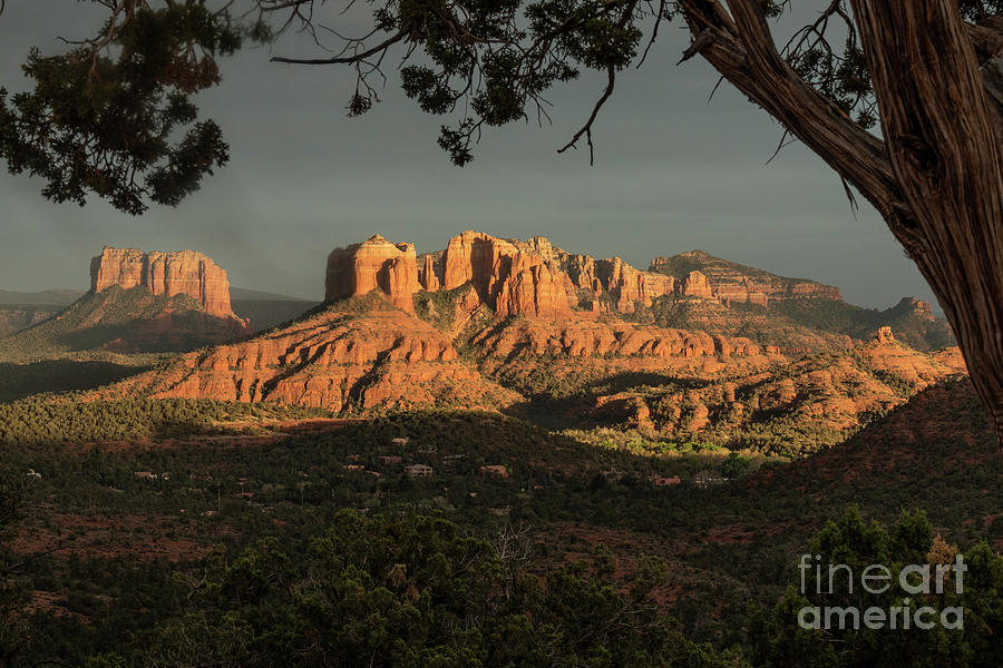 Cathedral Rock in the evening light Photograph by Garry McMichael