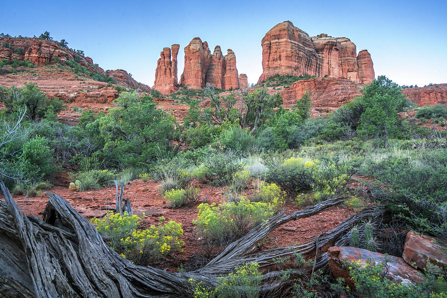 Cathedral Rock in Twilight by Rusty Childress Cathedral Rock in Twilight by Rusty Childress