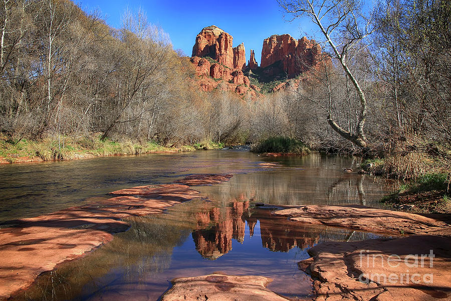 Tree Photograph - Cathedral Rock Reflections by Teresa Zieba