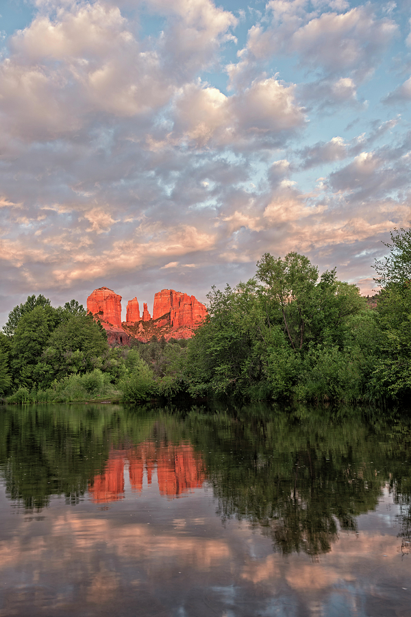 Cathedral Rock Sunset Photograph by Loree Johnson