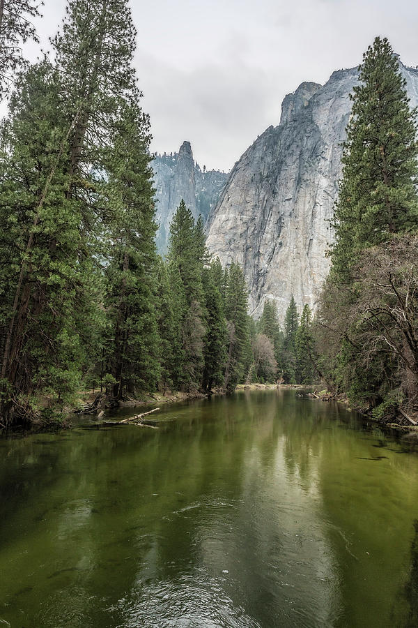 Cathedral Rocks and Spires behind Merced River Photograph by Belinda Greb