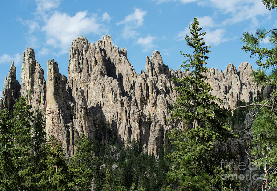 Nature Photograph - Cathedral Spires by Juli Scalzi