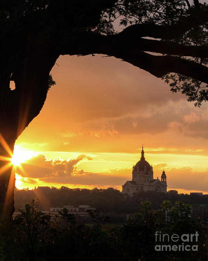 Cathedral Sun Star Photograph by Ernesto Ruiz