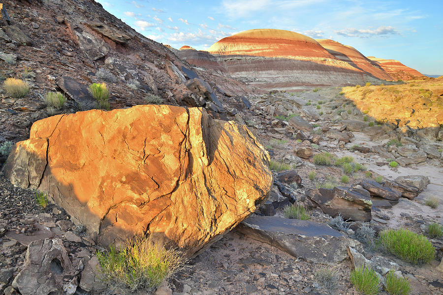 Cathedral Valley Bentonite Photograph by Ray Mathis
