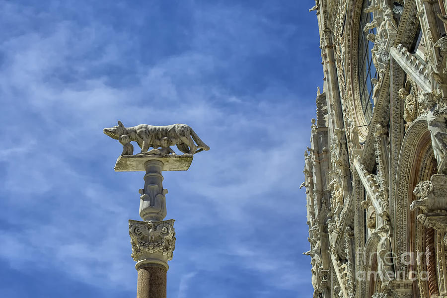 Cathedral and column of the she- wolf and Aschius and Senius in Siena Photograph by Patricia Hofmeester