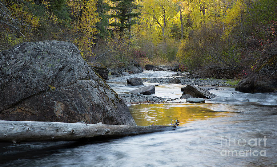 Catherine Creek Photograph by Idaho Scenic Images Linda Lantzy