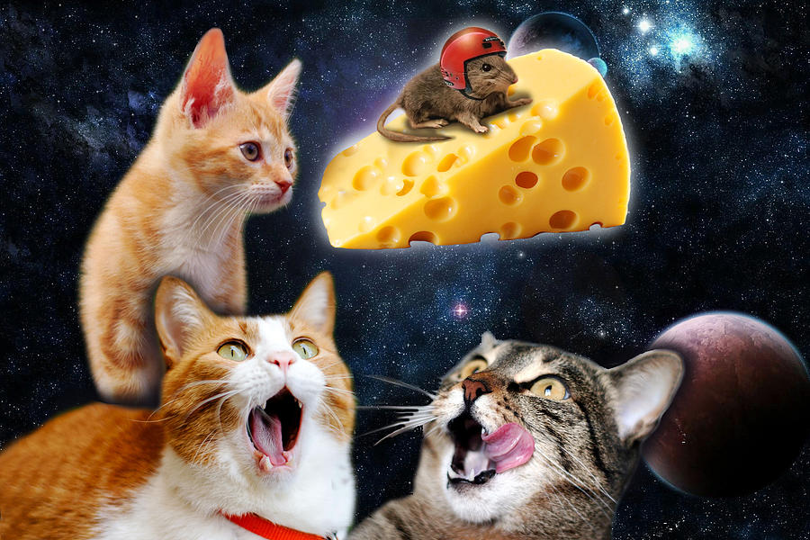 Orange Digital Art - Cats and the mouse on the cheese by Johnnie Art