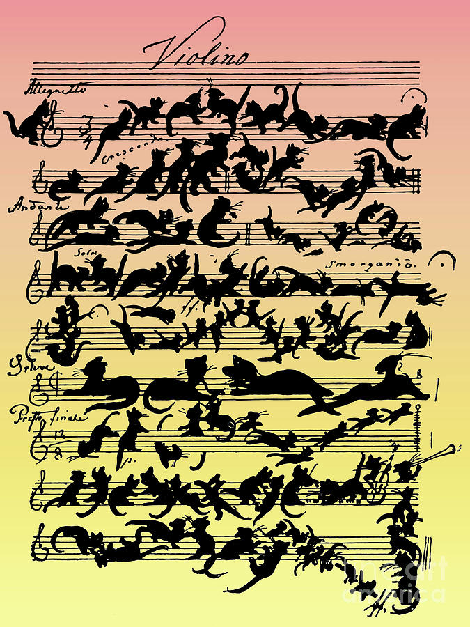 Cat Drawing - Cats  Cat Violin Score by Moritz von Schwind