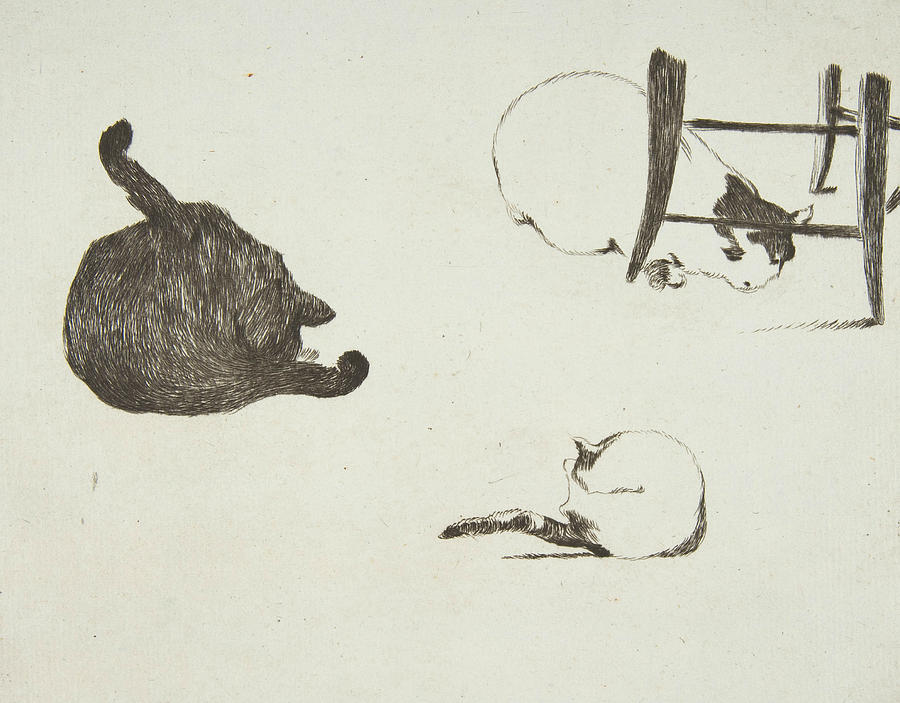 Cats Relief by Edouard Manet