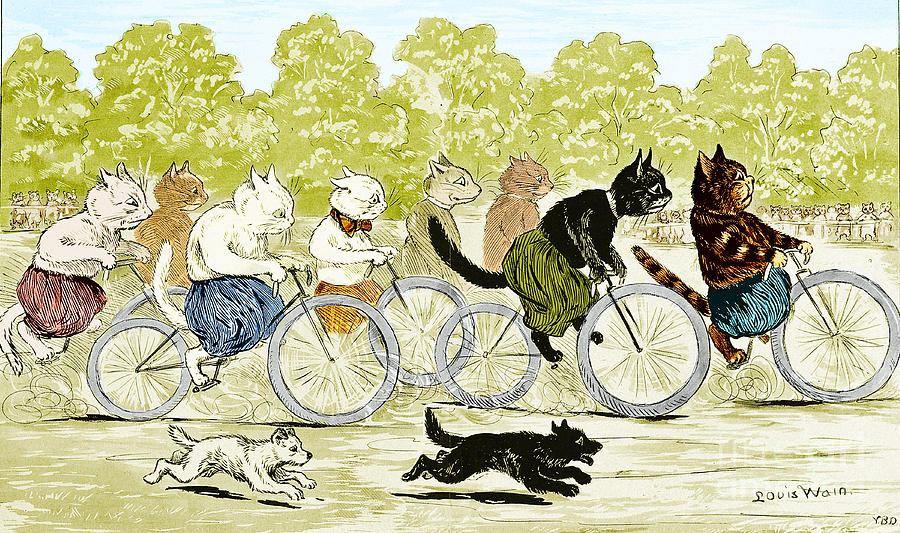 Cats In A Bicycle Race, Hyde Park, 1896 Photograph by Science Source