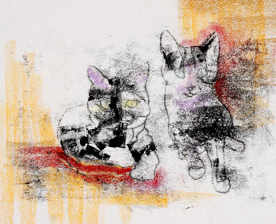 Cats In Color Mixed Media by Julie Maas