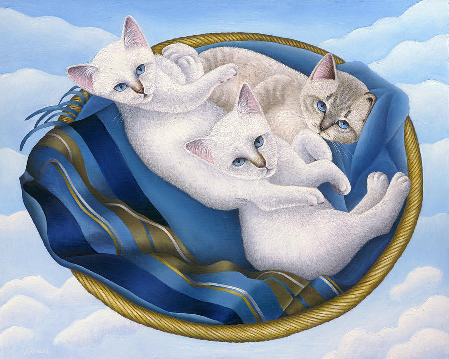 Cat Painting - Cats in Sky Basket by Carol Wilson