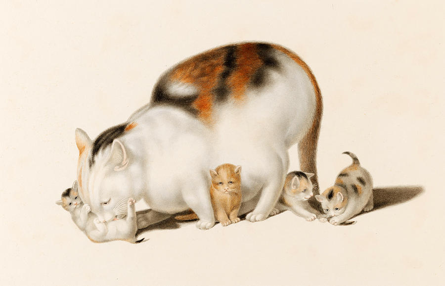 Illustration Cats & Dotz - Mother and twins