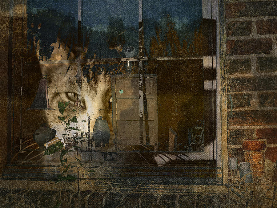 Cats Window Digital Art by Sue Masterson