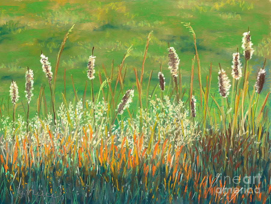 Cattail Close-Up Pastel by Ginny Neece