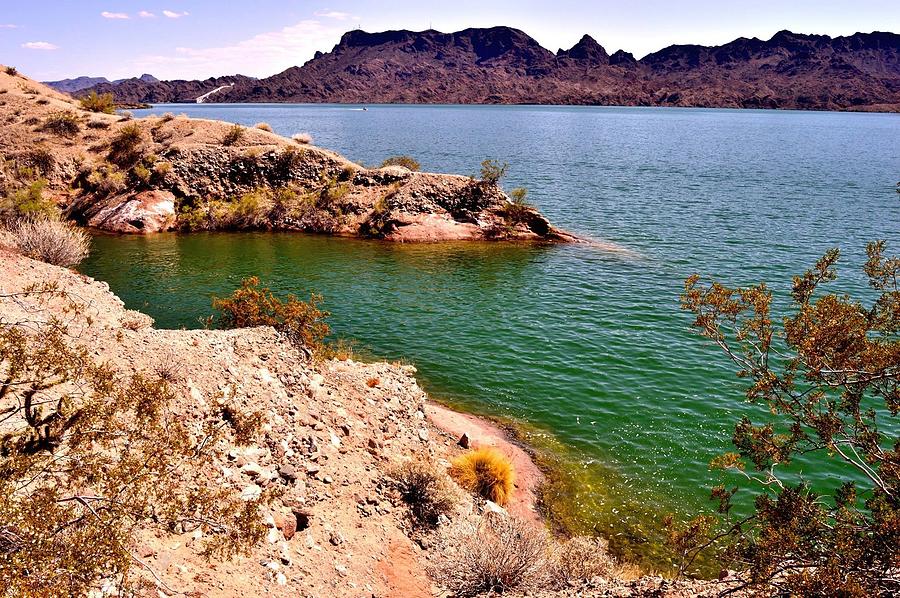 Cattail Cove - Lake Havasu, AZ Photograph by Sherri Hasley - Pixels