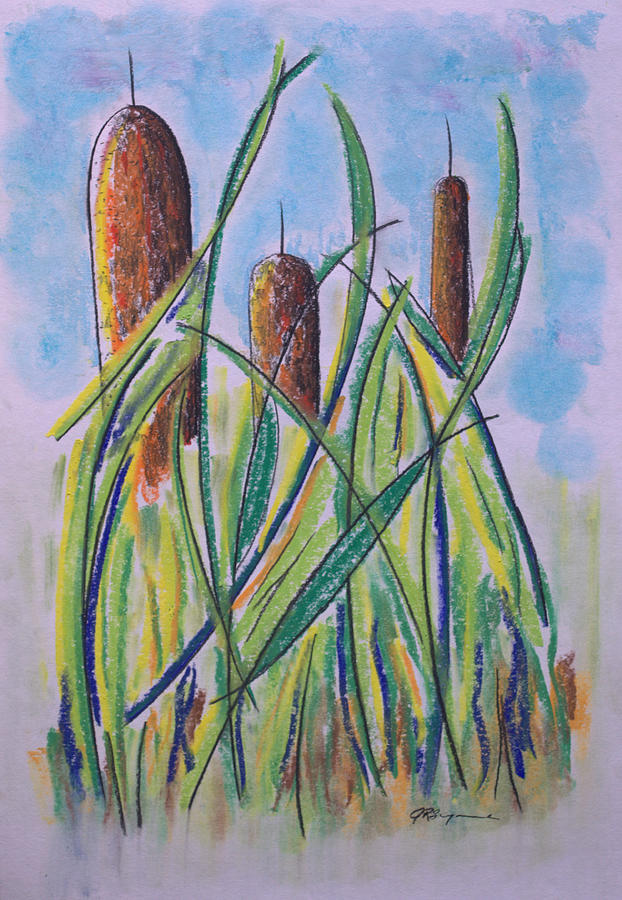 Cattails 5 Drawing by J R Seymour