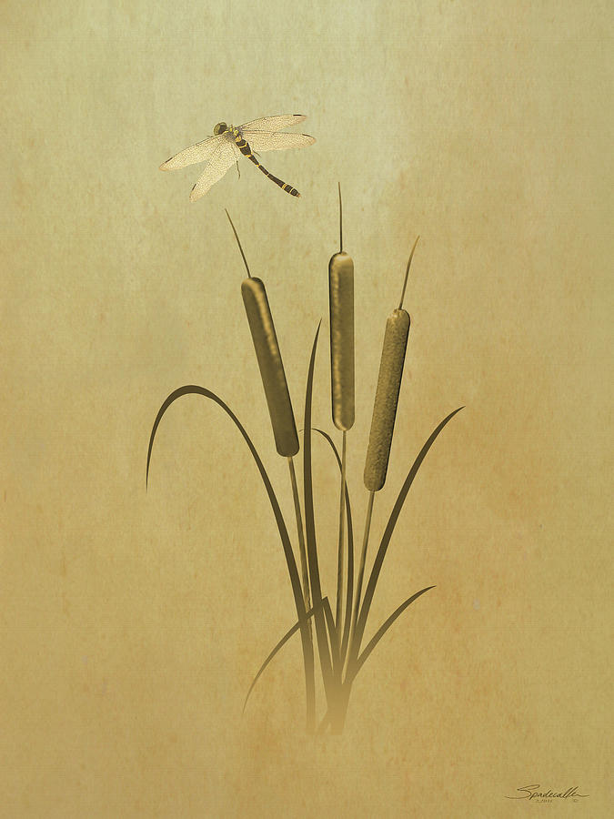 Cattails And Dragonfly Digital Art by M Spadecaller