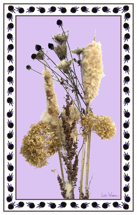 Cattails and November Flowers Digital Art by Lise Winne