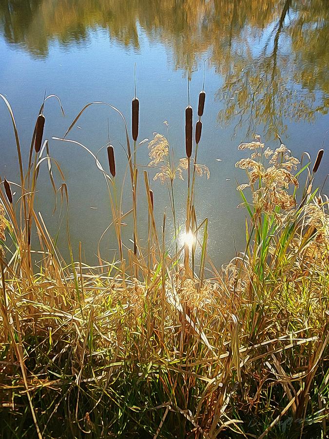 Nature Painting - Cattails by Brian Shepard