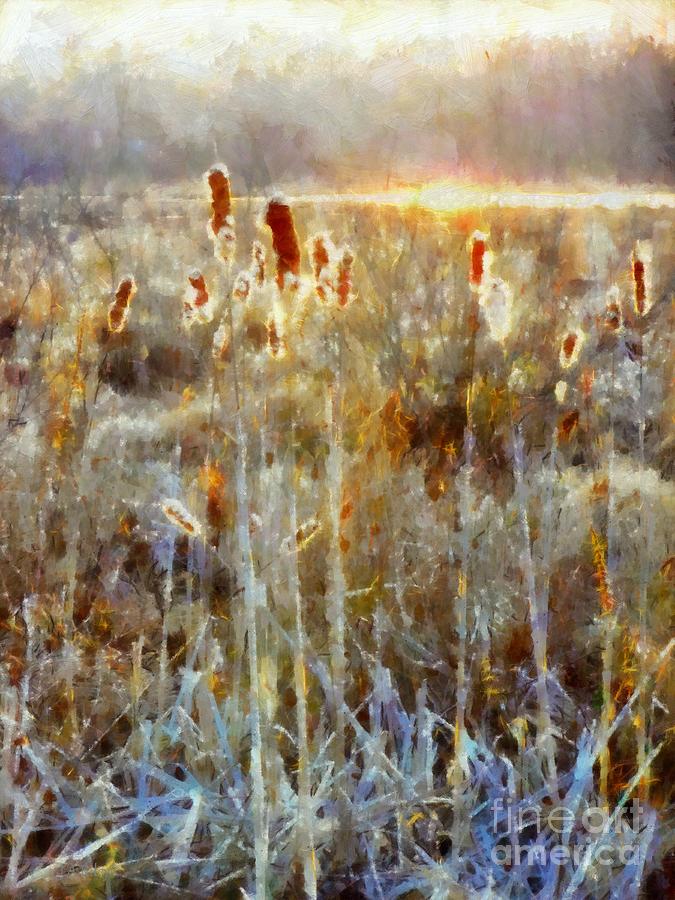 Cattails - Misty Morning - Marsh - Frost Photograph by Janine Riley
