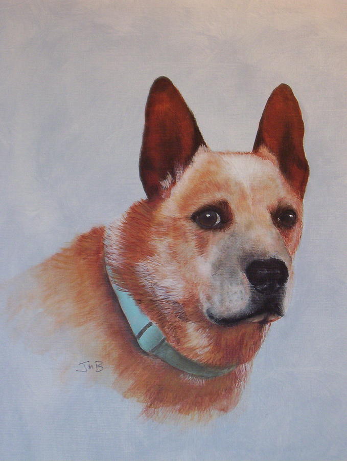 Dog Painting - Cattle Dog by Janice M Booth