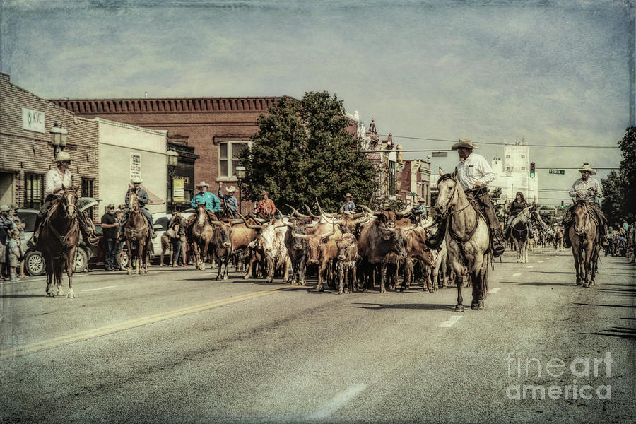 Cattle Drive Photograph by Lynn Sprowl