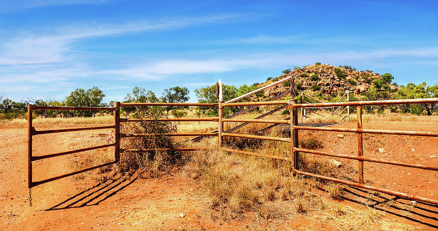 Cattle Gates in the Outback Photograph by Lexa Harpell