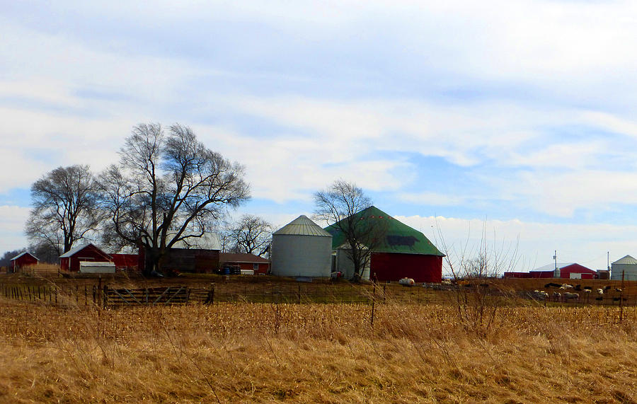 Barn Photograph - Cattle Round Barn by Tina M Wenger
