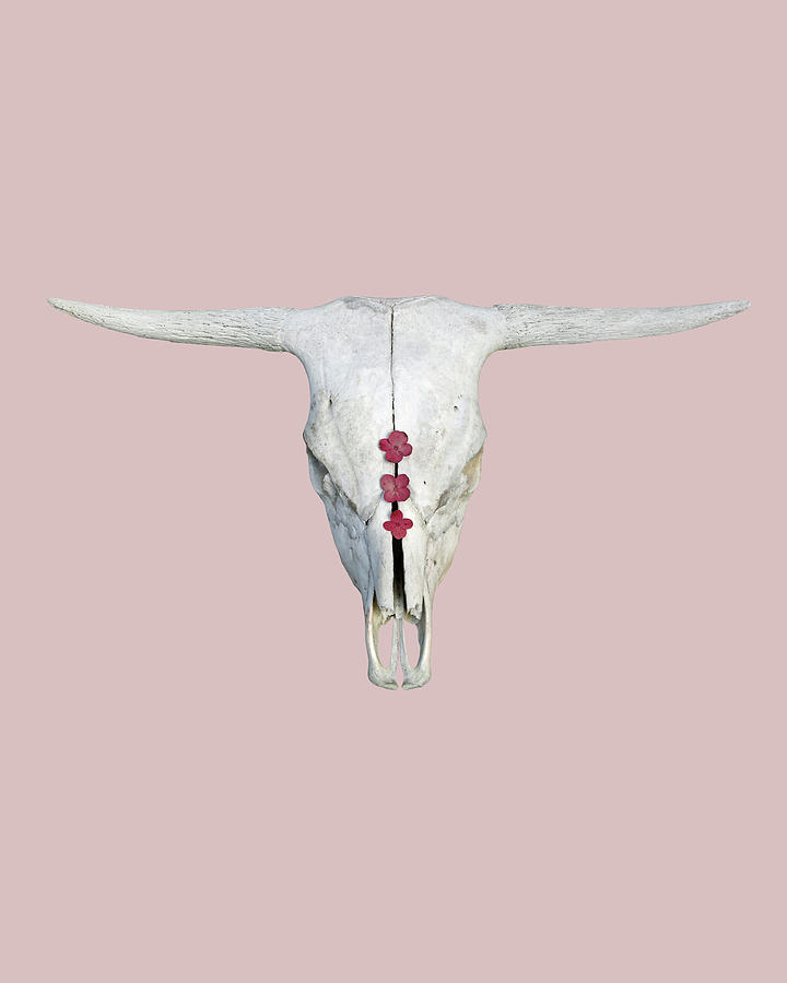 Cattle Skull with Hydrangeas on Light Rosy Pink Photograph by Brooke T Ryan