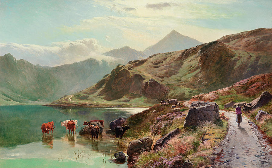 Cow Painting - Cattle watering near Snowdonia by Sidney Richard Percy