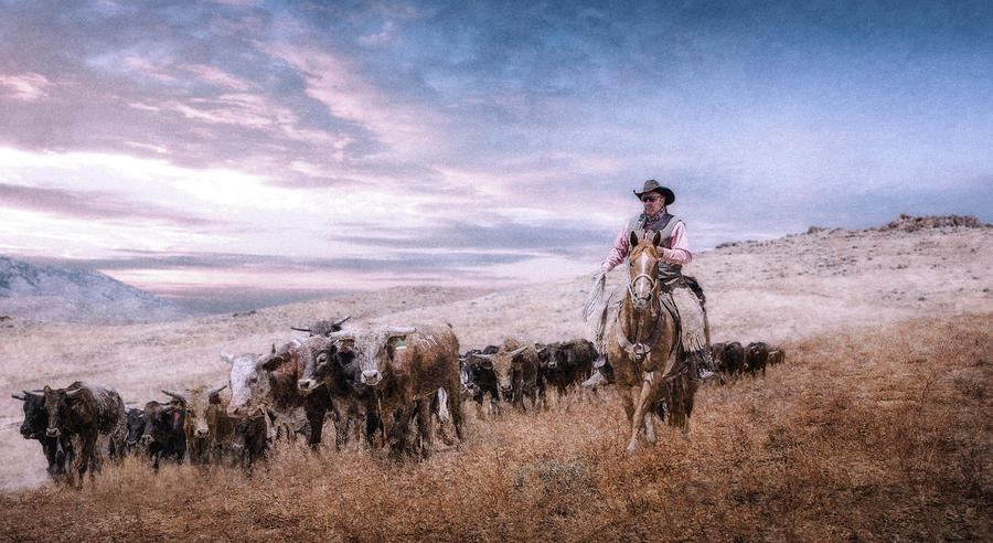 Cattle Wrangler Digital Art by Rick Mosher