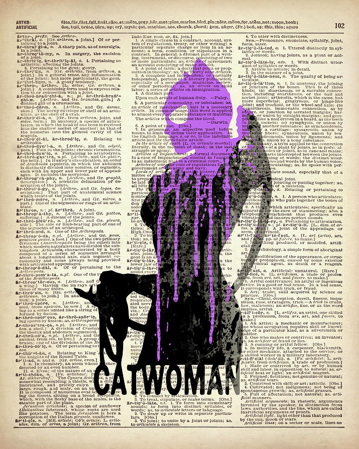 Catwoman Painting by Art Popop