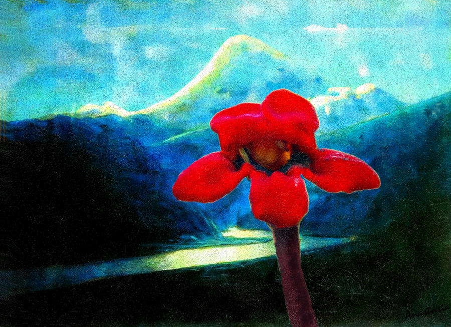Caucasus Love Flower II Photograph by Anastasia Savage Ealy