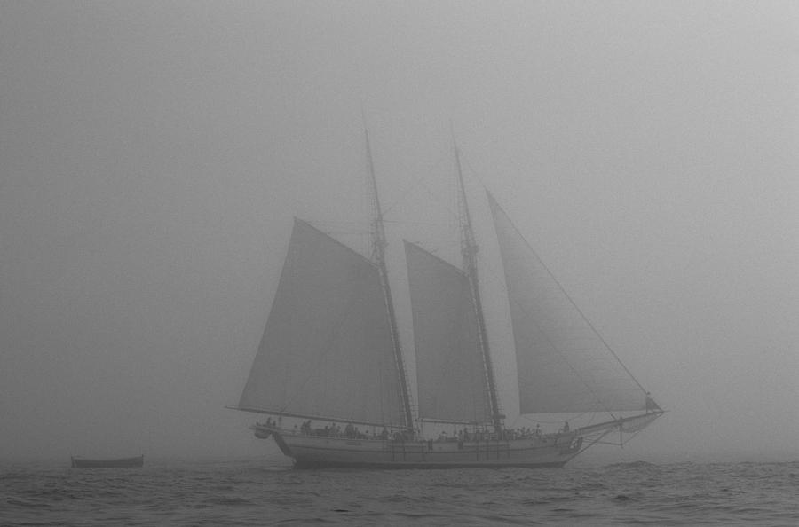 Caught in a Fog Photograph by David Shuler